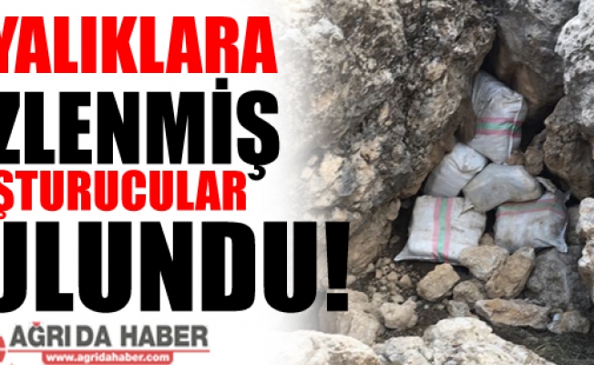 Uyuşturucu Tacirleri Eroini Kayaklıklara Gizlemiş