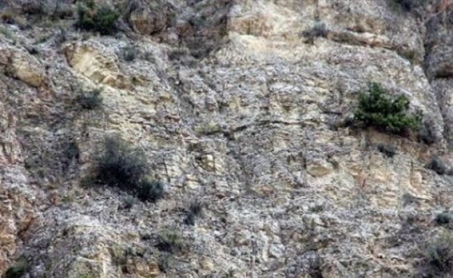 İtfaiye Ekibi At İçin Dağda 6 Kilometre Yürüdü