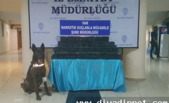 Gürpınarda Kaçak Tütün Operasyonu !