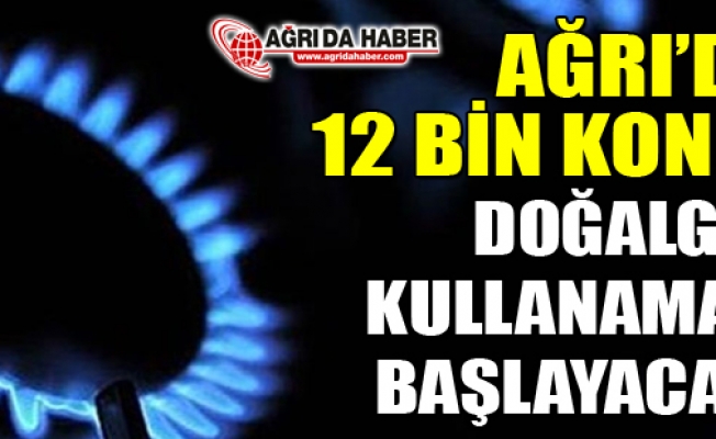 Ağrıda 12 Bin Konut Ağustosta Doğalgaz Kullanmaya başlayacak