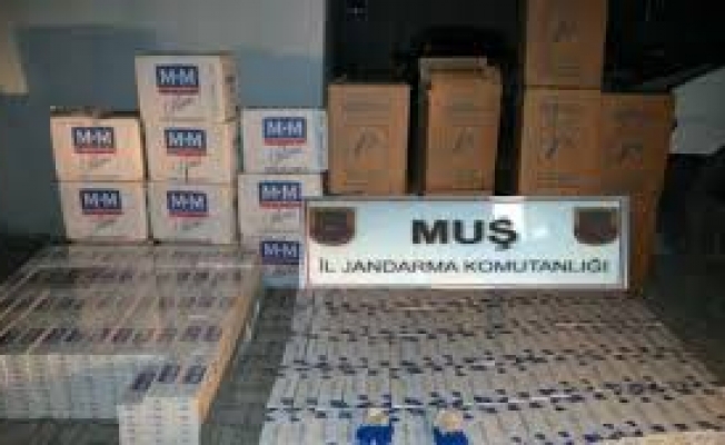 Muşta Kaçak Sigara