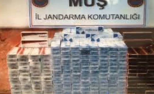 Muşta Uyuşturucu