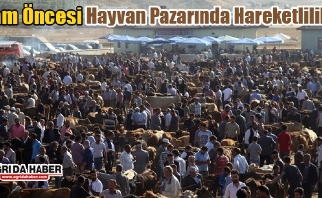 Bayram Öncesi Hayvan Pazarında Hareketlilik Arttı