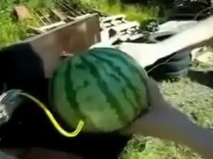 Karpuza Elektrik Verilirse Ne Olur?