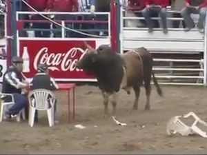 Boğa İle Dalga Geçilmez