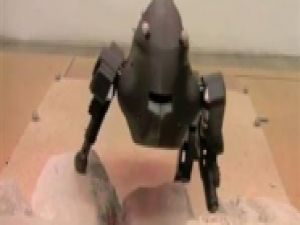 Öğrenebilen Robot Köpek