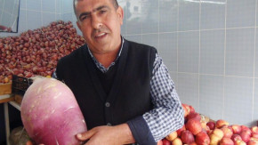 6 kilo 380 gramlık turp görenleri şaşırttı