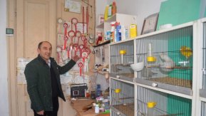 Milyonluk binayı kuşlara tesis etti